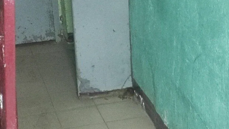 Фото: соцсети