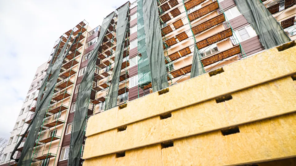 Фото: МедиаБанк Подмосковья/Данила Кирьянов