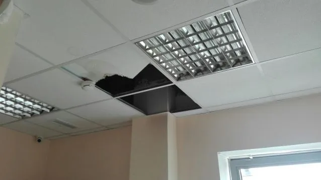 Региональное отделение ОНФ в МО