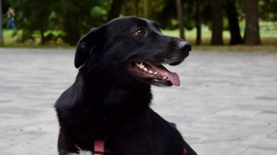 Министерство сельского хозяйства и продовольствия Московской области