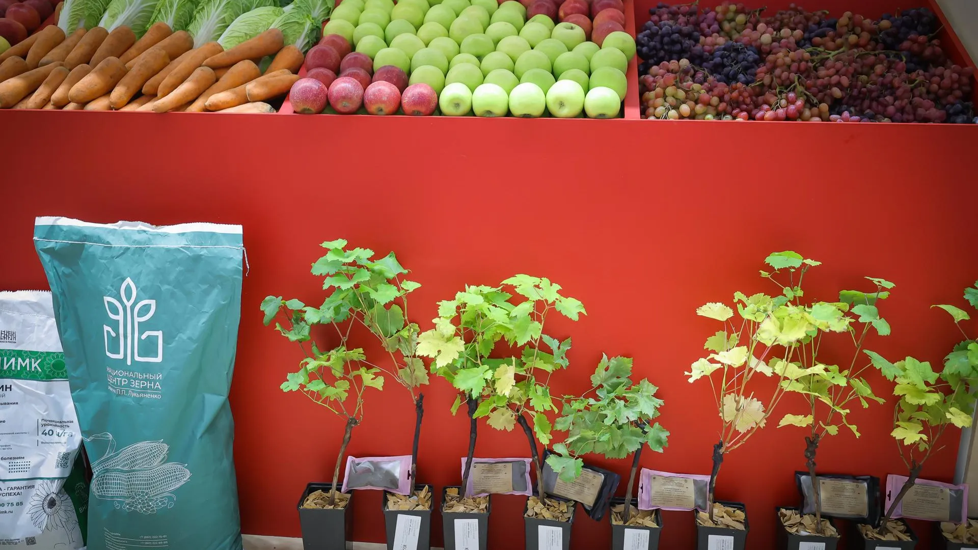 медиасток.рф