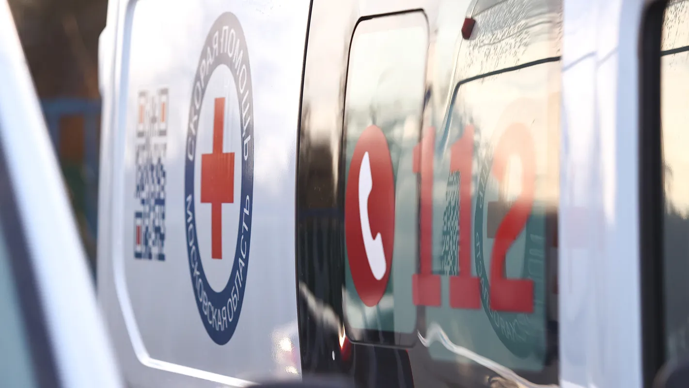 Фото: Медиаархив Подмосковья