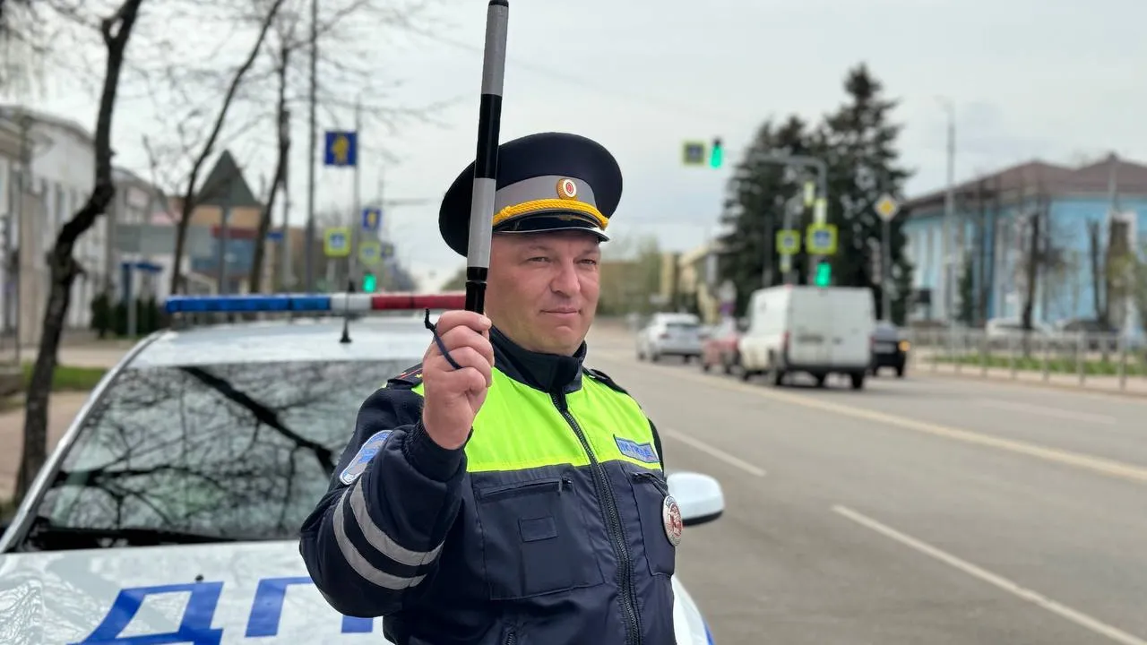 Фото: Госавтоинспекция по Московской области