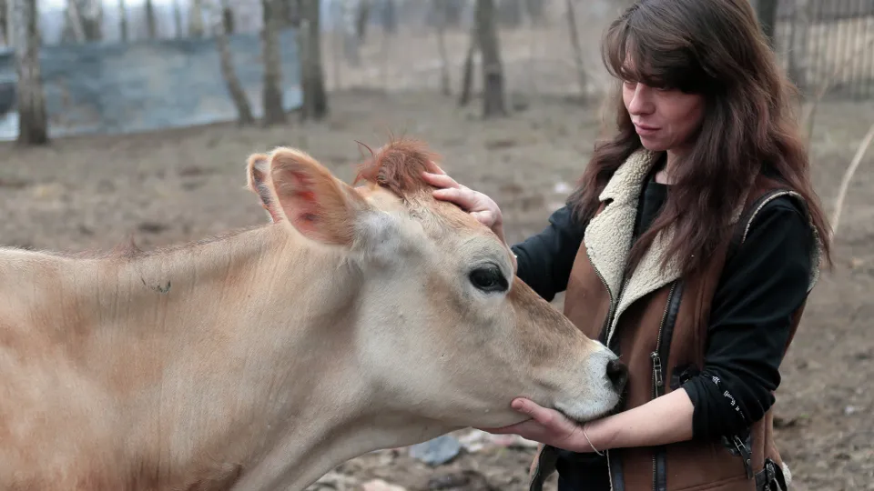 Фото: РИА Новости/Виталий Белоусов