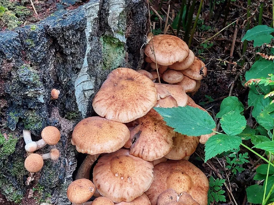 Фото: Василий Потапов