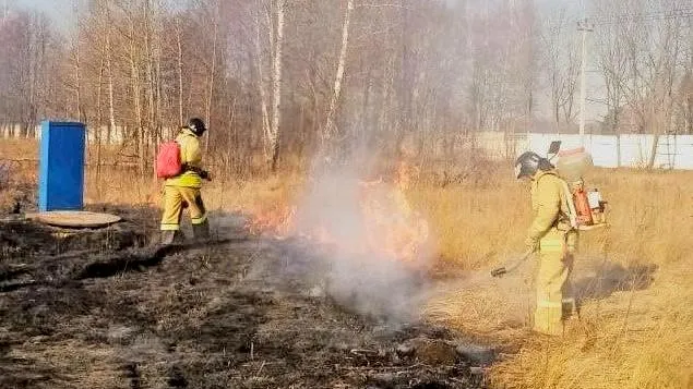 Фото: ГКУ МО «Мособлспас»