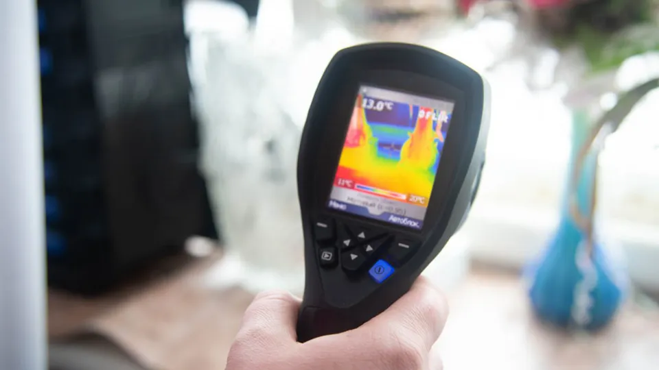 Фото: REGIONS/Нина Соколова