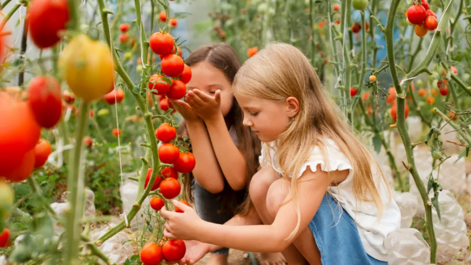 Фото: freepik.com