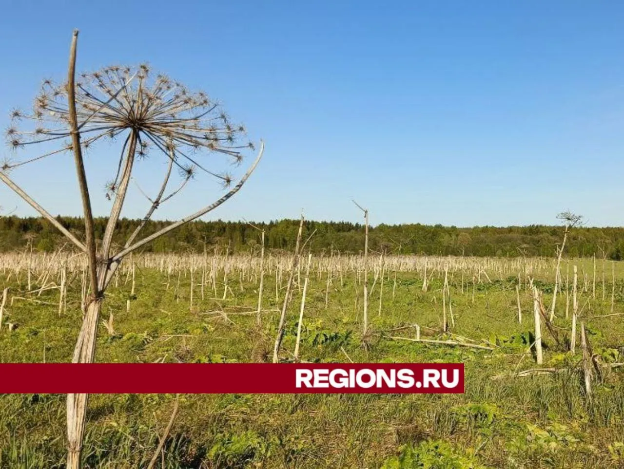 Фото: Евгений Рой