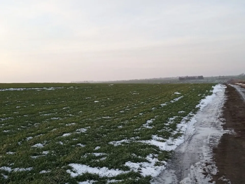 Фото:&nbsp;Министерство сельского хозяйства и продовольствия Московской области