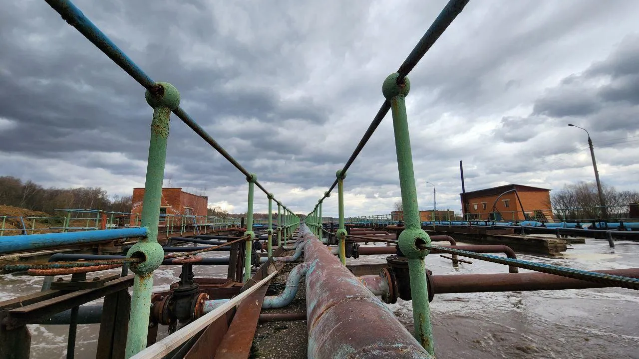 Фото: Яна Шаливская