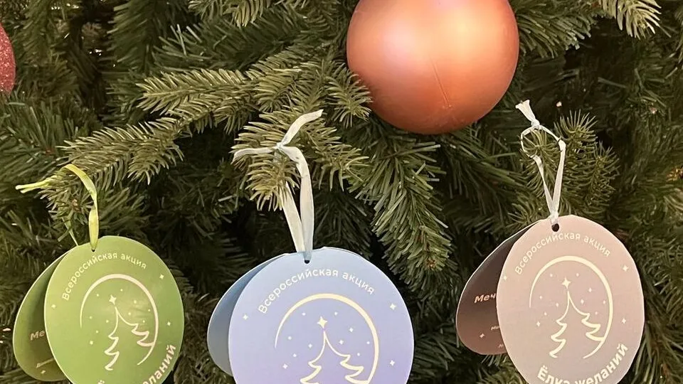 Фото: медиасток.рф