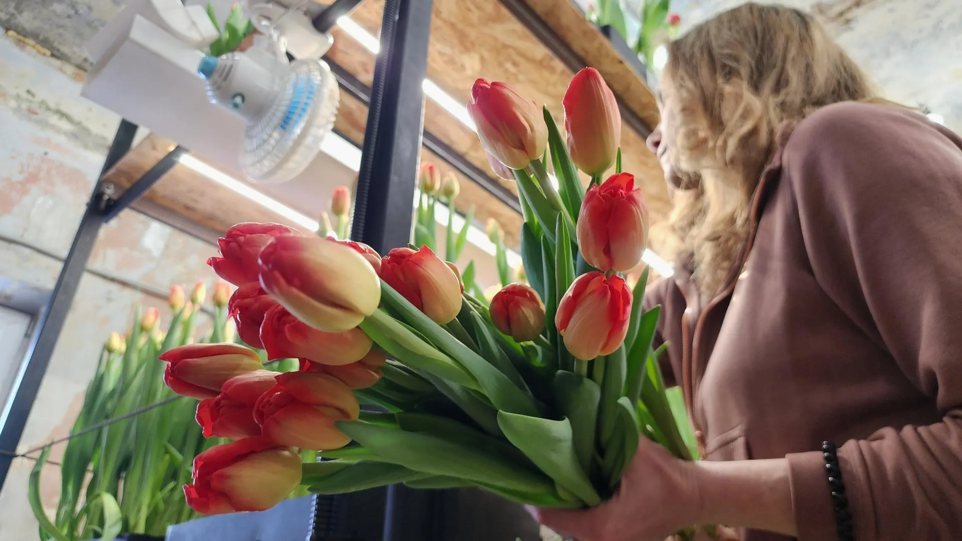 МедиаБанк Подмосковья/Екатерина Данилина