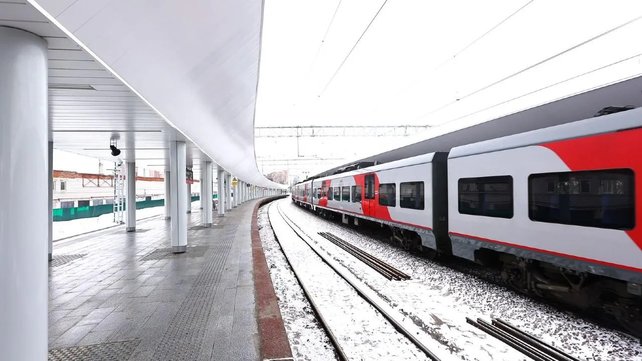 В Подмосковье пьяный мужчина ранил ножом пассажира электрички