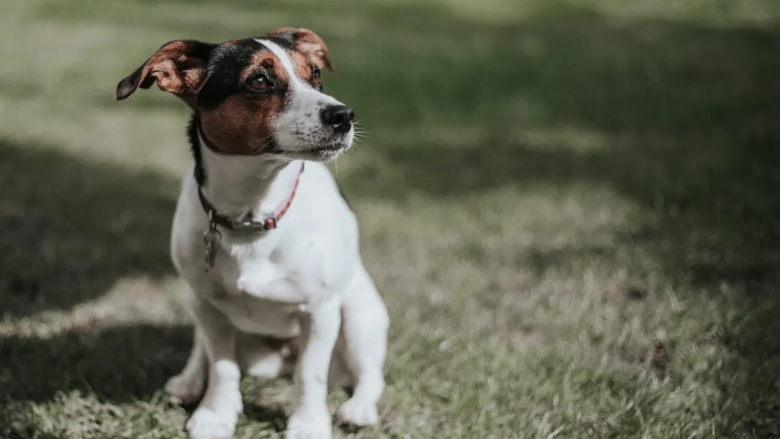 Фото: unsplash.com