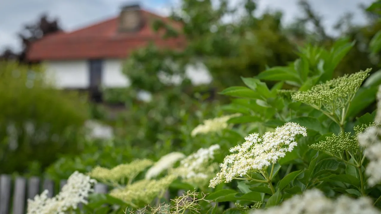 istockphoto.com/Stefan Rotter