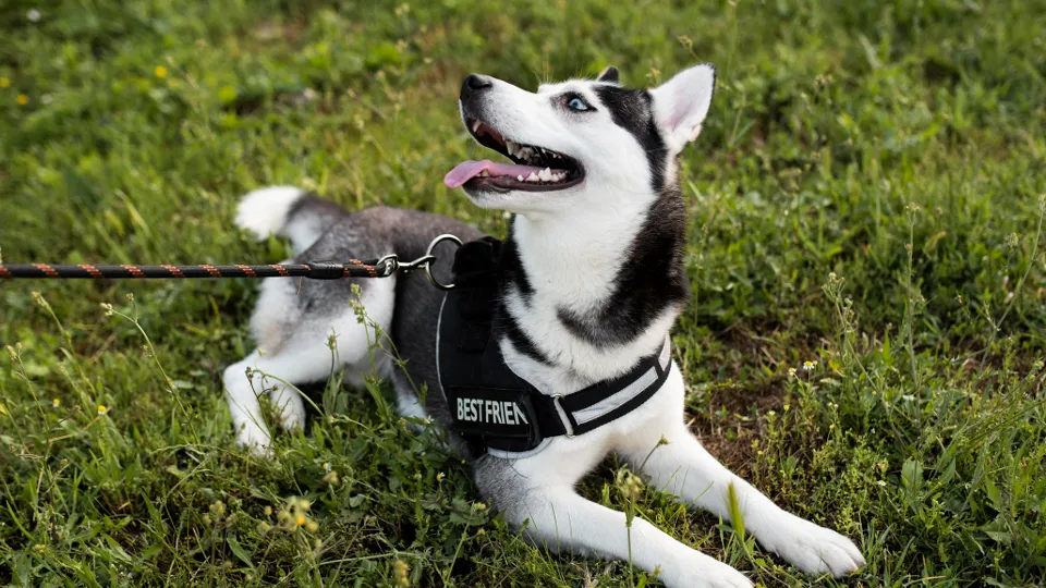 Фото: freepik.com