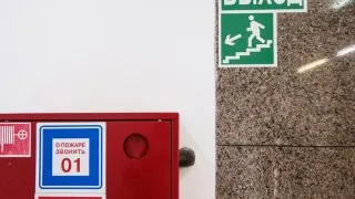 Фото: РИА Новости/Евгения Новоженина