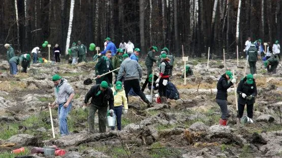Более 3 тысяч деревьев посадят в Серебряно-Прудском районе 