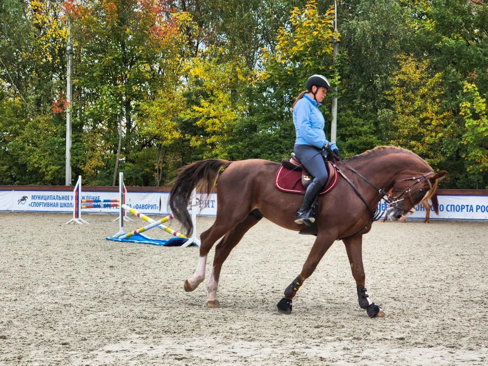 Фото: REGIONS/Мария Андрюхина