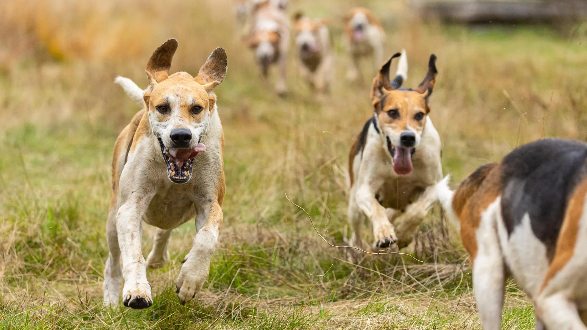 Michael Matthey/dpa/Global Look Press