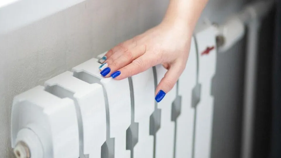 Фото: пресс-служба администрации г.о. Кашира