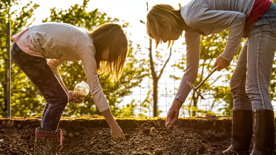 Фото: istockphoto.com