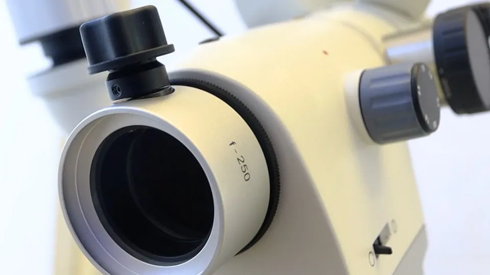 Фото: Щелковская больница