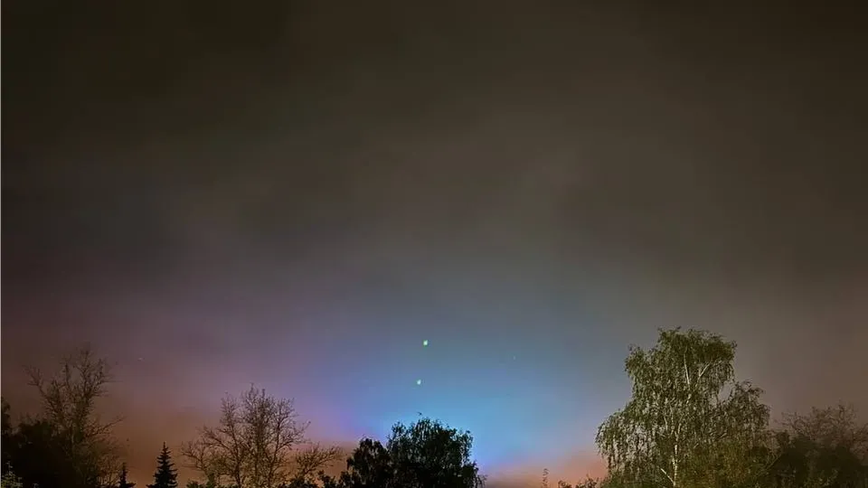 Фото: МедиаБанк Подмосковья/Дарья Князева