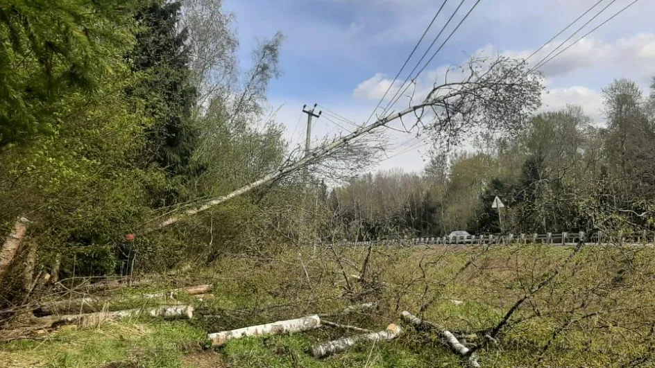 Фото: Россети Московский регион