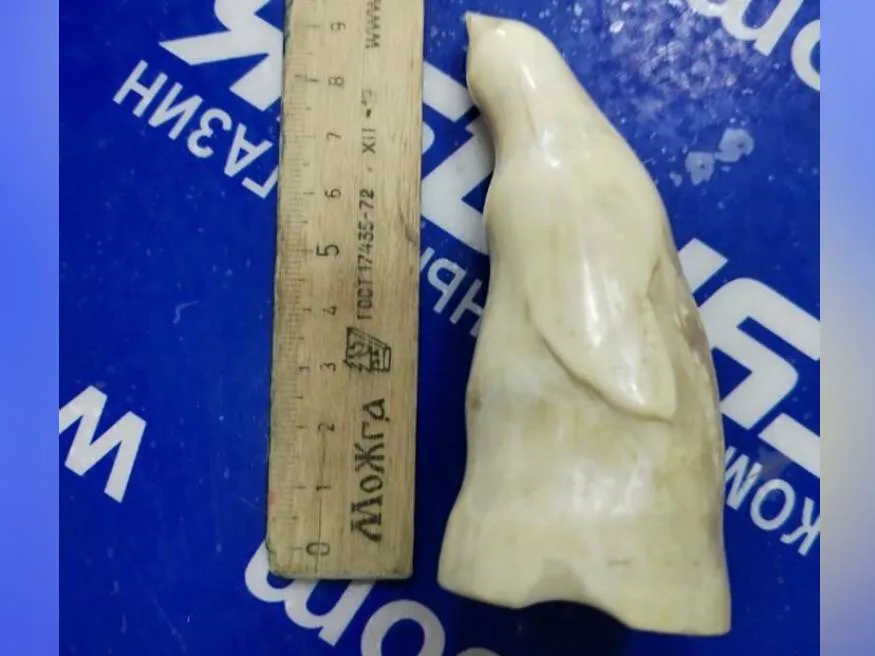 Фото: городская доска объявлений&nbsp;