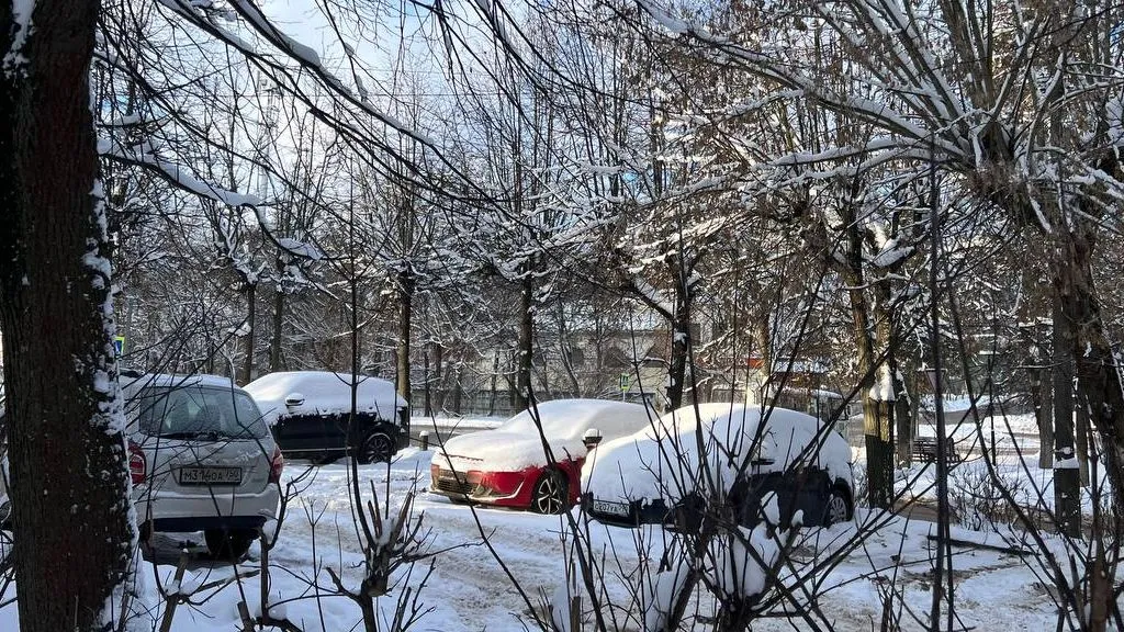 Фото: REGIONS/Татьяна Кордюкова