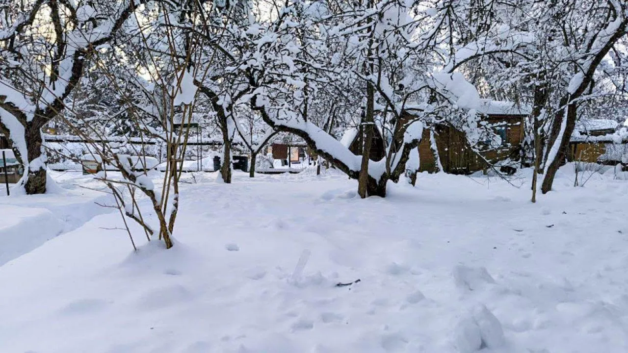 REGIONS/Анастасия Малышенко