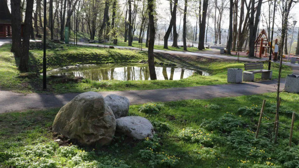 Фото: пресс-служба администрации Рузского м.о.