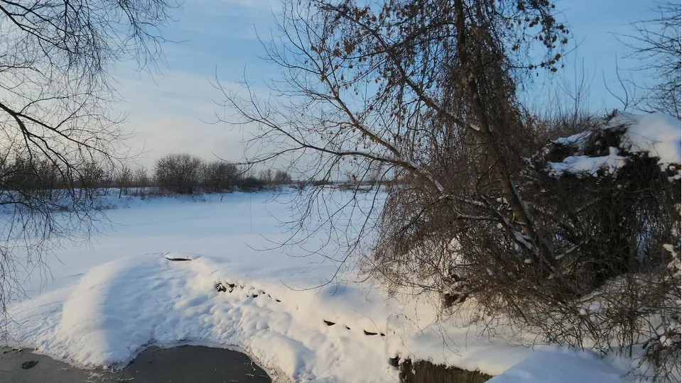 Фото: REGIONS/Дмитрий Павлов