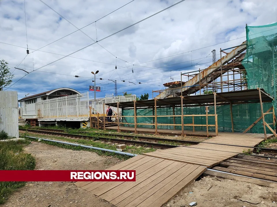 Фото: Светлана Плотникова