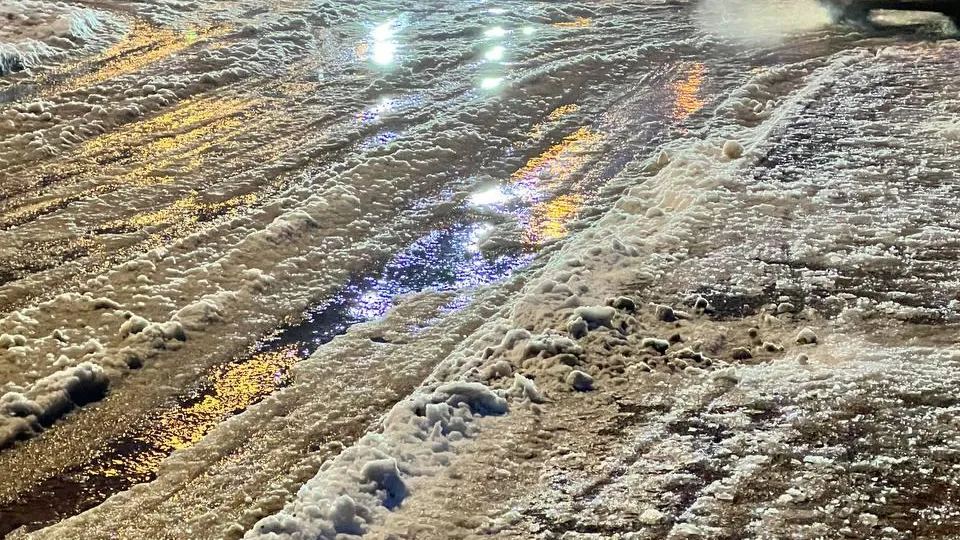 Фото: Елена Фурман