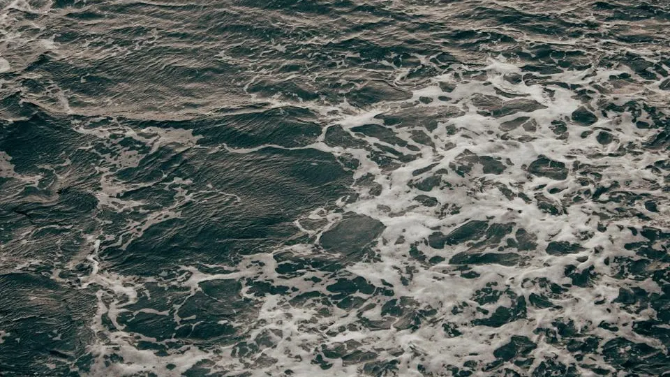 unsplash.com