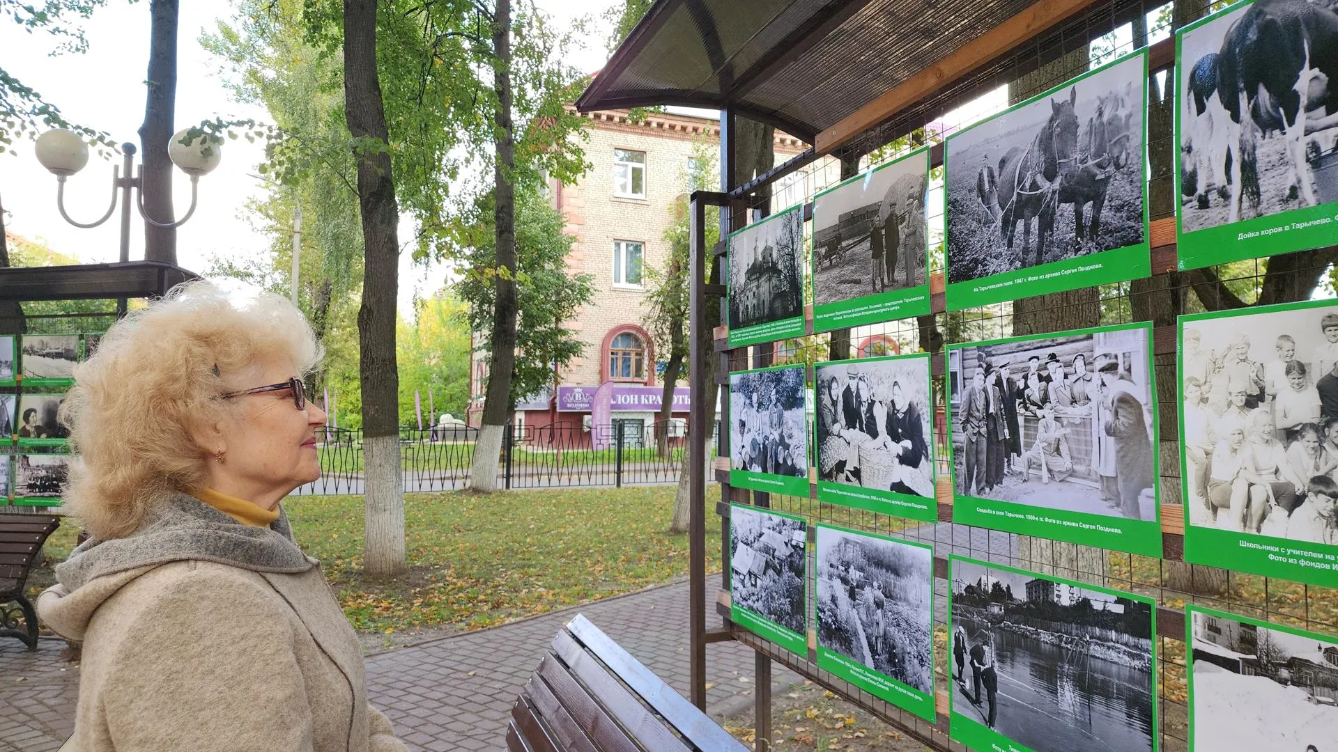 Мария Амелина