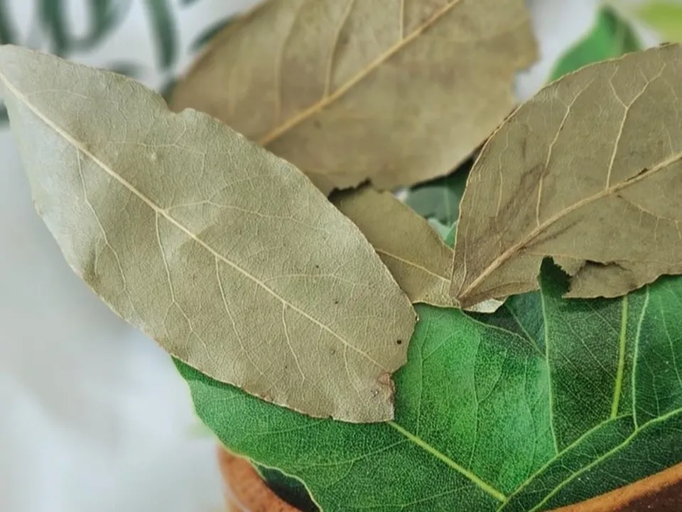 Фото: REGIONS/Наталия Надточая