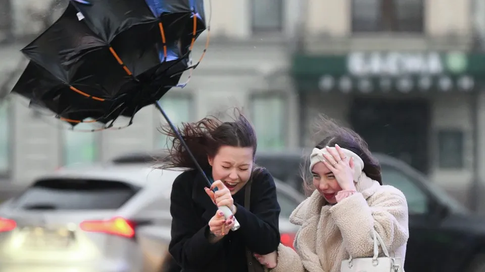 Фото: РИА Новости/Максим Блинов