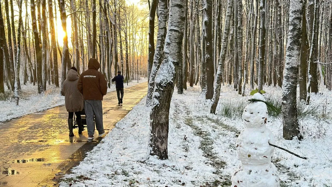 Министерство благоустройства Московской области