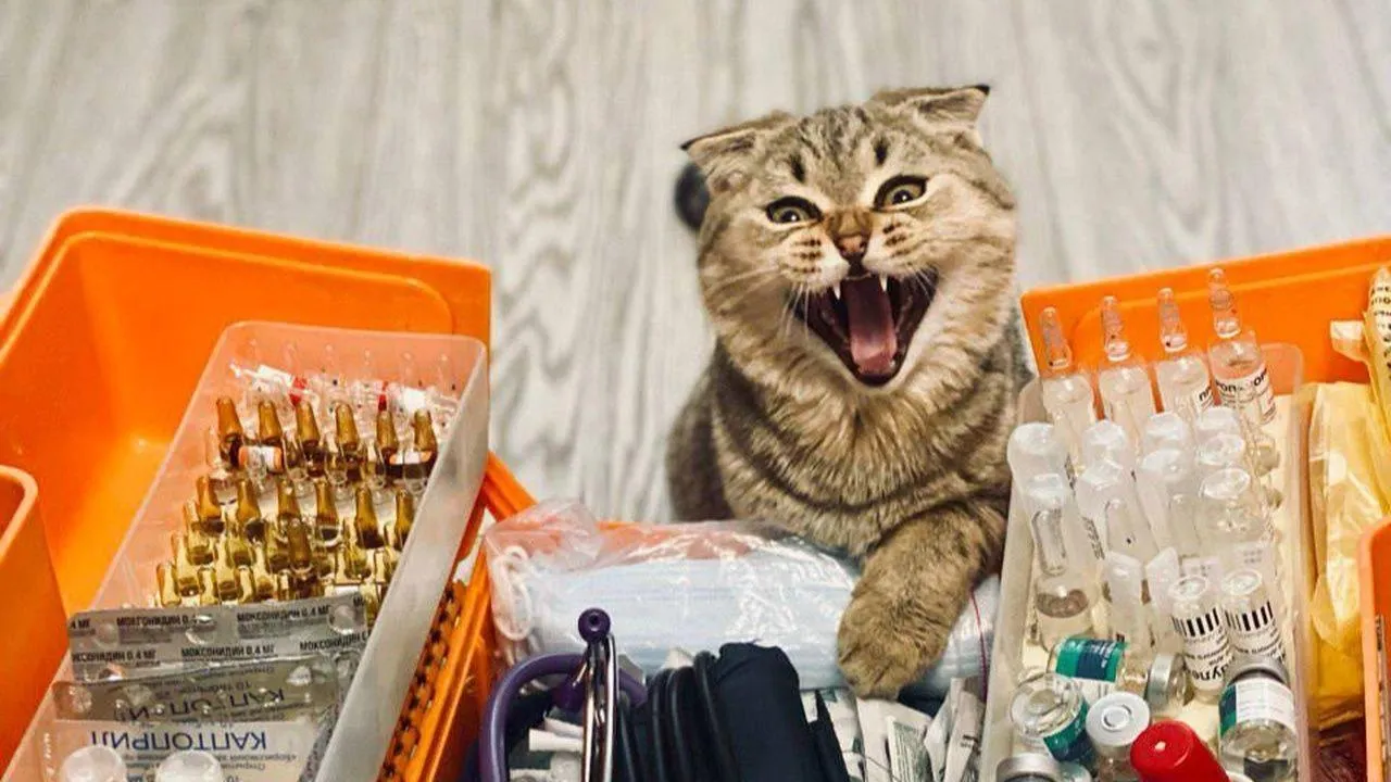 пресс-службой Московской областной станции скорой медицинской помощи