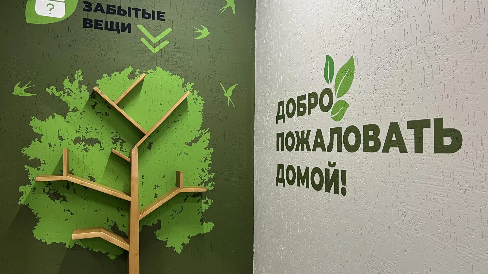 Ерофеева Валерия