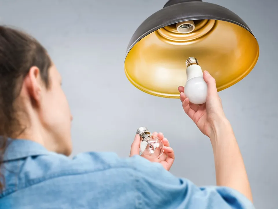 Фото: istockphoto.com/Irina Gutyryak