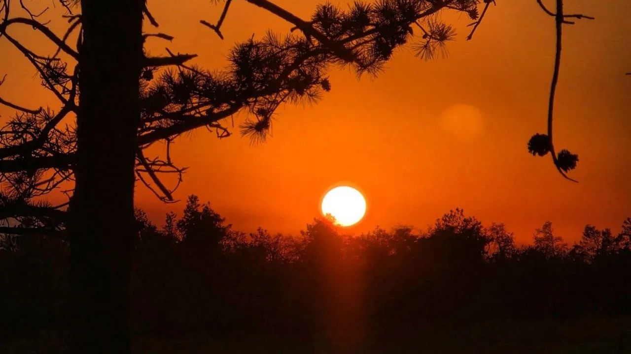 Фото: REGIONS/Анастасия Широкая