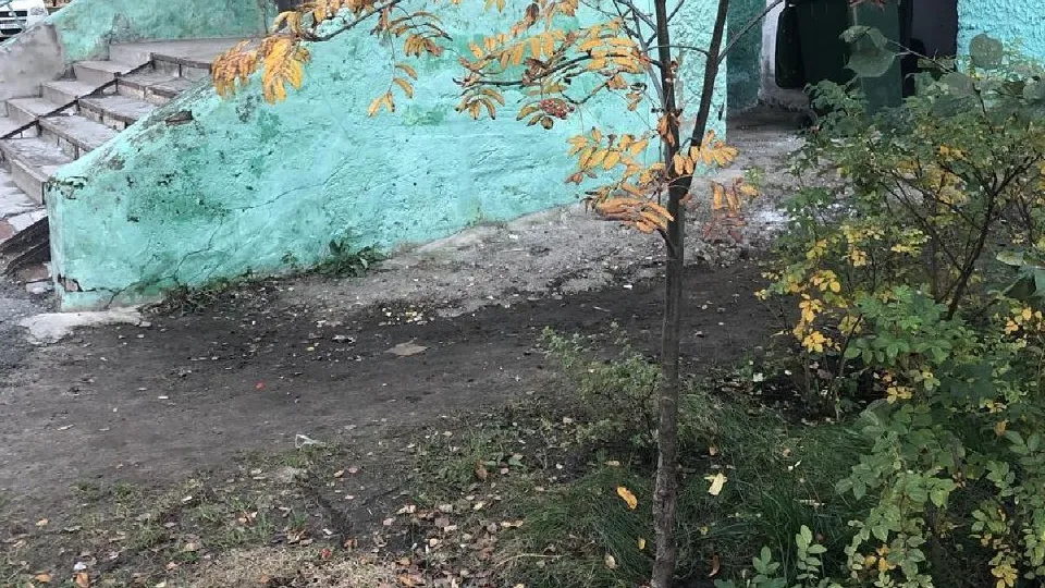 Фото: пресс-служба Администрации г.о. Воскресенск