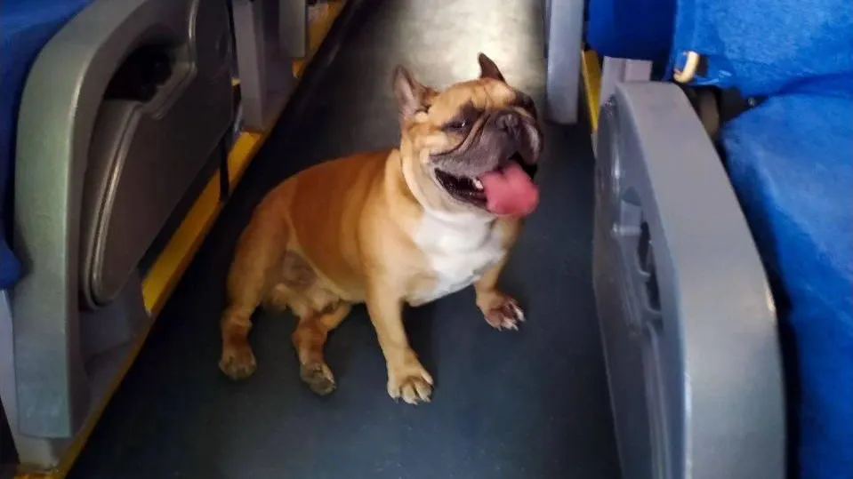 МИНИСТЕРСТВО ТРАНСПОРТА И ДОРОЖНОЙ ИНФРАСТРУКТУРЫ МОСКОВСКОЙ ОБЛАСТИ