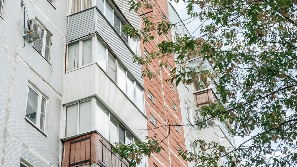 Фото: пресс-служба администрации г.о. Щелково