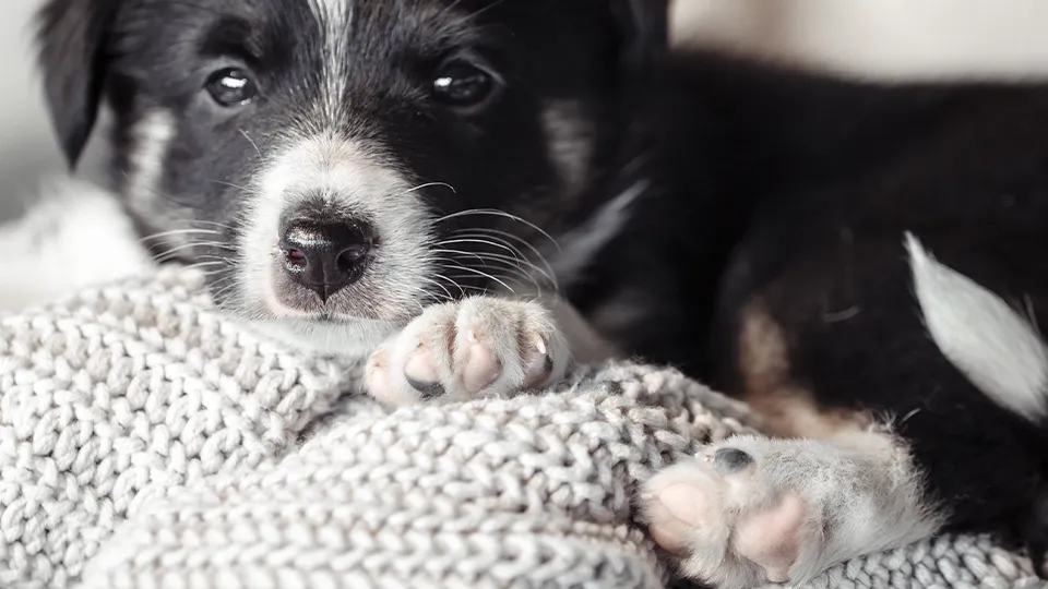 Фото: freepik.com